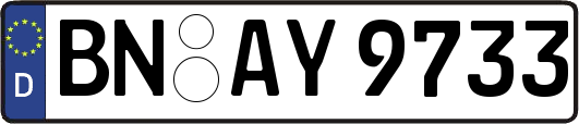 BN-AY9733