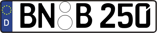 BN-B250