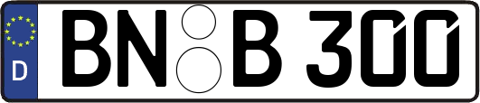 BN-B300