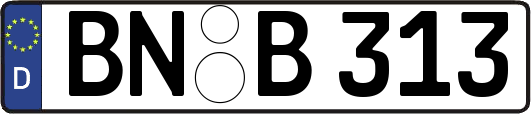 BN-B313