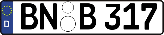 BN-B317