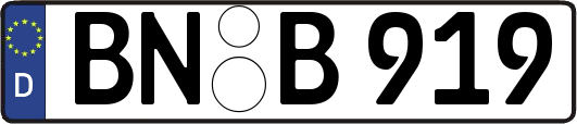 BN-B919