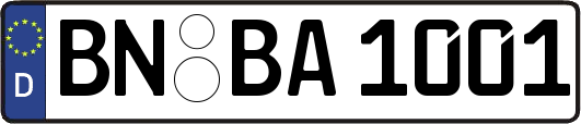 BN-BA1001