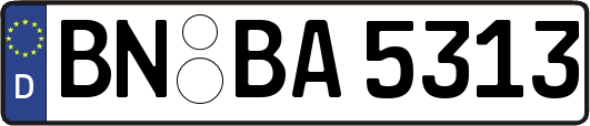 BN-BA5313