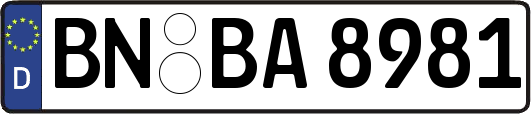 BN-BA8981