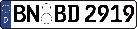 BN-BD2919