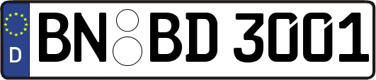 BN-BD3001