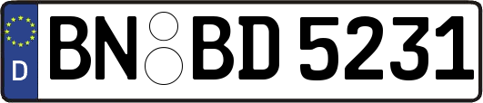 BN-BD5231