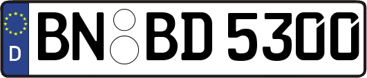 BN-BD5300