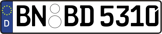 BN-BD5310