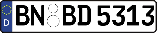 BN-BD5313