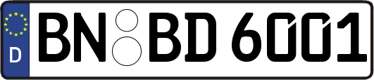 BN-BD6001
