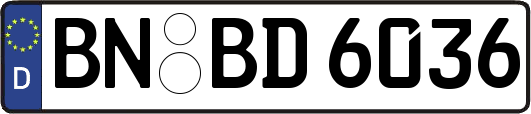 BN-BD6036