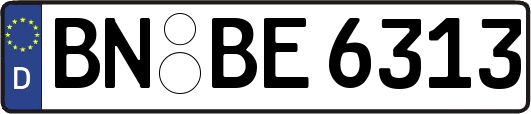 BN-BE6313