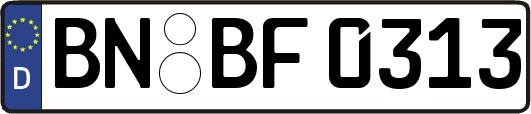 BN-BF0313