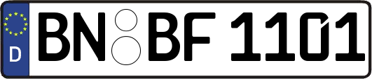 BN-BF1101