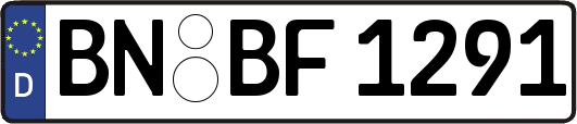 BN-BF1291