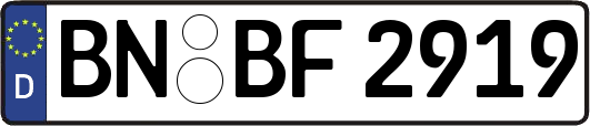 BN-BF2919
