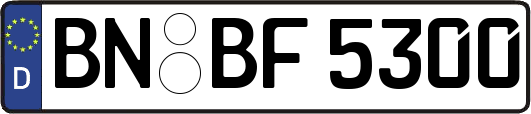 BN-BF5300
