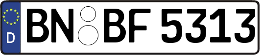 BN-BF5313