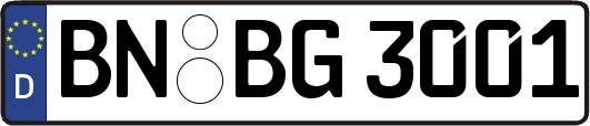 BN-BG3001