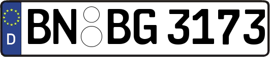 BN-BG3173