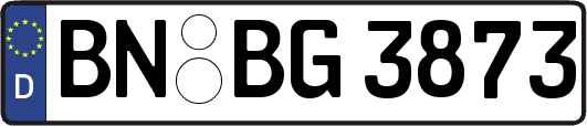 BN-BG3873