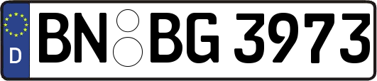 BN-BG3973
