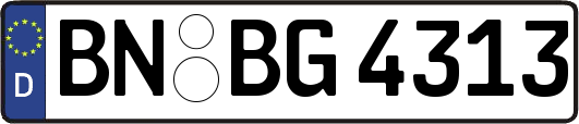 BN-BG4313
