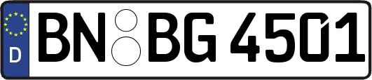 BN-BG4501