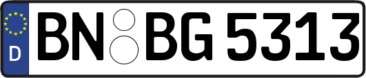 BN-BG5313