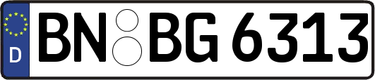 BN-BG6313