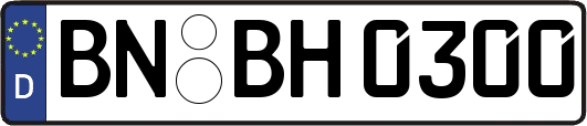 BN-BH0300