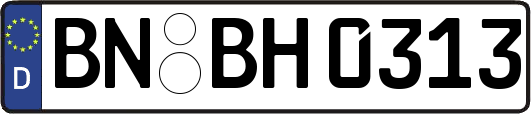 BN-BH0313