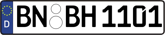 BN-BH1101