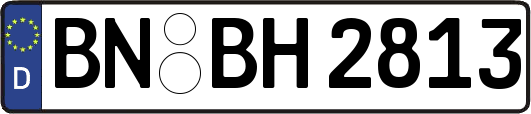 BN-BH2813