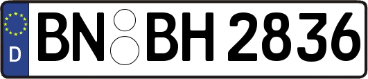 BN-BH2836