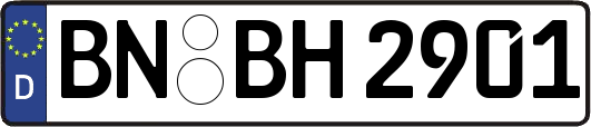 BN-BH2901