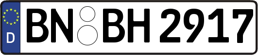BN-BH2917