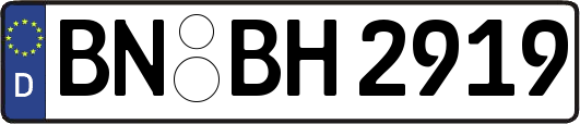 BN-BH2919