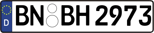 BN-BH2973