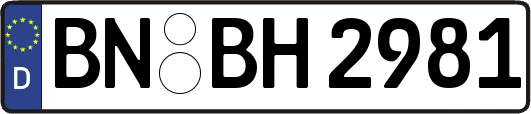 BN-BH2981