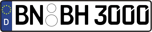 BN-BH3000