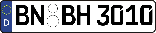 BN-BH3010