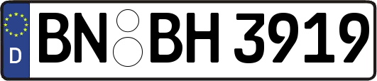 BN-BH3919