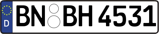 BN-BH4531
