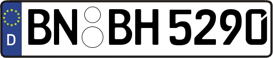 BN-BH5290