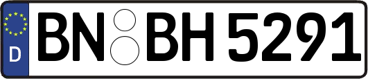 BN-BH5291
