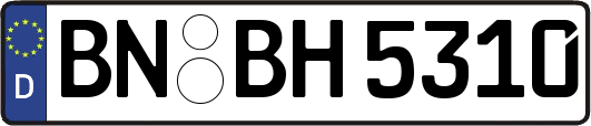 BN-BH5310