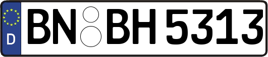 BN-BH5313